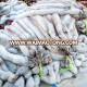 Wholesale cooked skin Blue fox fur/white fox fur/red/silver fox fur